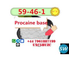 Procaina Base Powder CAS 59-46-1 Procaine