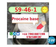 Procaina Base Powder CAS 59-46-1 Procaine