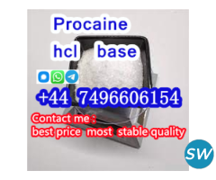 selling Procaine base CAS 59-46-1 /51-05-8