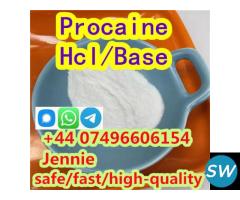 Procaine manufacturer supply CAS 59-46-1