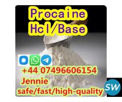 Procaine manufacturer supply CAS 59-46-1