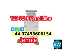 Pyrrolidine CAS 123-75-1 for Medical