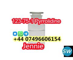 Pyrrolidine CAS 123-75-1 for Medical