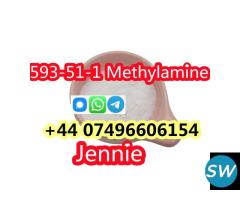 593-51-1 Methylamine hcl supplie