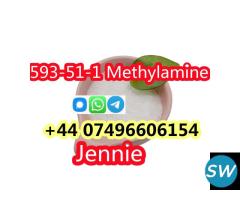 593-51-1 Methylamine hcl supplie