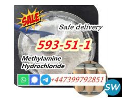 CAS 593-51-1 Methylamine hydrochloride for Sale