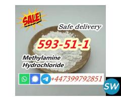 CAS 593-51-1 Methylamine hydrochloride for Sale