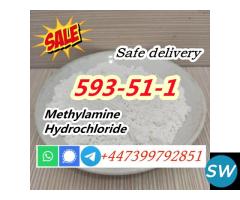 CAS 593-51-1 Methylamine hydrochloride for Sale