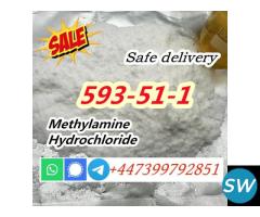 CAS 593-51-1 Methylamine hydrochloride for Sale