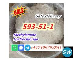 CAS 593-51-1 Methylamine HCL Factory Price