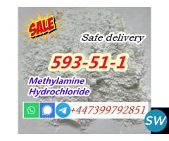 CAS 593-51-1 Methylamine HCL Factory Price