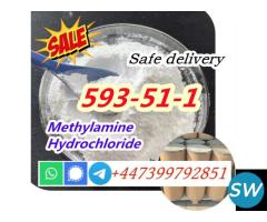 CAS 593-51-1 Methylamine HCL Factory Price