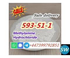 CAS 593-51-1 Methylamine HCL Factory Price