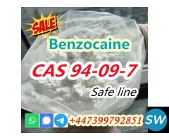 CAS 94-09-7 Benzocaine Global shipping