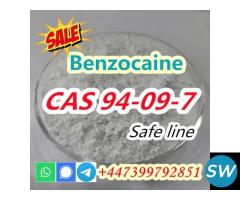 CAS 94-09-7 Benzocaine Global shipping