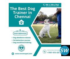 The Best Dog Trainer in Chennai