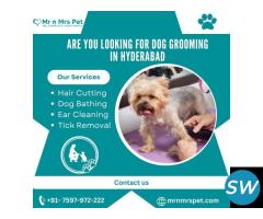 Are You Looking For Dog Grooming in Hyderabad