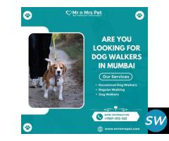 Are You Looking For Dog Walkers in Mumbai