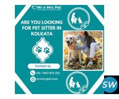 Are You Looking For Pet Sitter in Kolkata