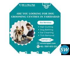 Best Dog Grooming Centres in Faridabad