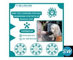 The Best Day Boarding For Pets in Bangalore