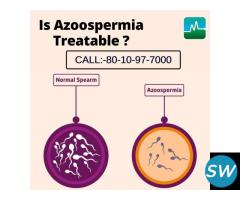 Ayurvedic treatment for azoospermia in Delhi - 1