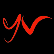 yv digital marketing institute and agency
